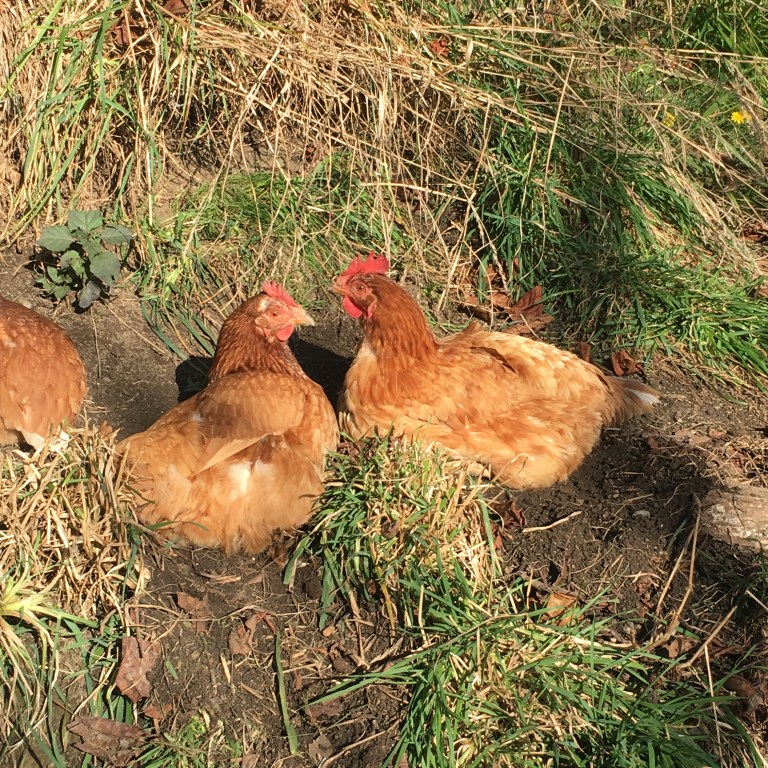 185A3D09-F66C-4BDA-A731-D0A4822D574F