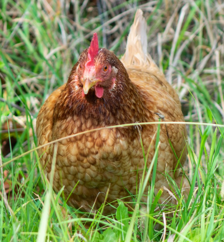 39085A92-E720-4CF4-ABA0-00A23BFCA652