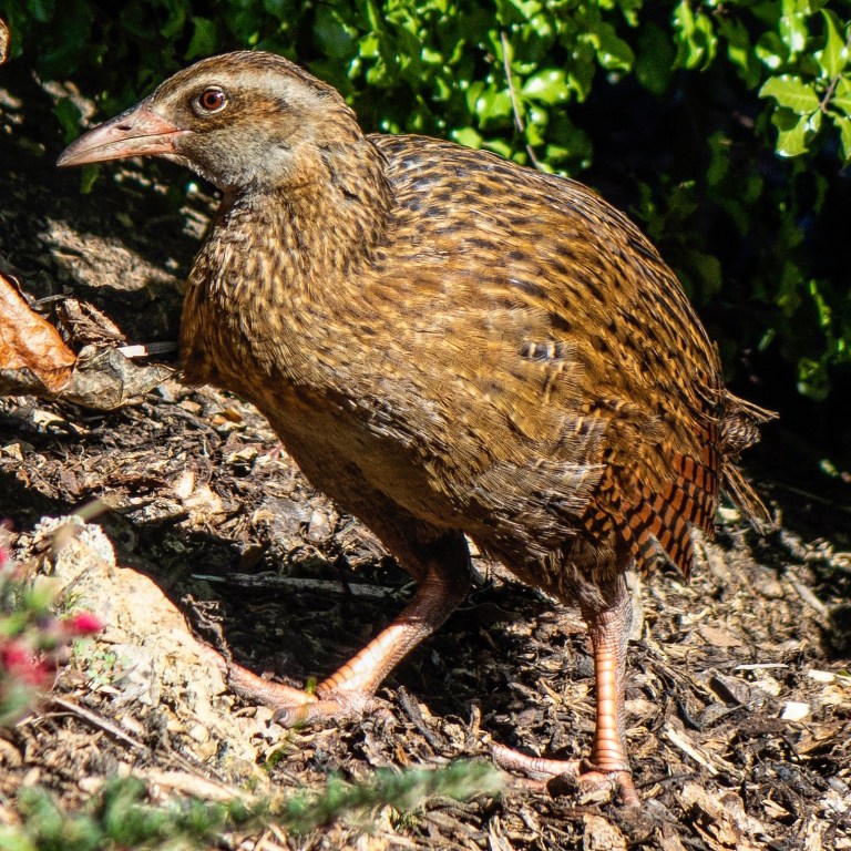 821B857E-F1B6-45CC-848A-25D3134E6EE0