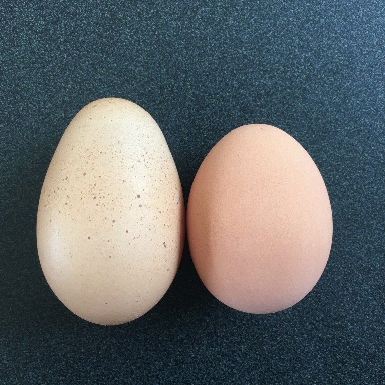 AEFADE7C-3D65-4D0C-A662-5C18E5374140