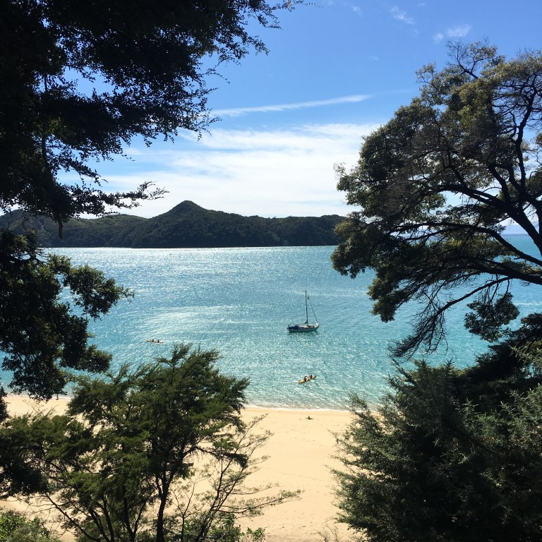 64FFF77B-A4E8-406D-B976-3F1390DD12F5