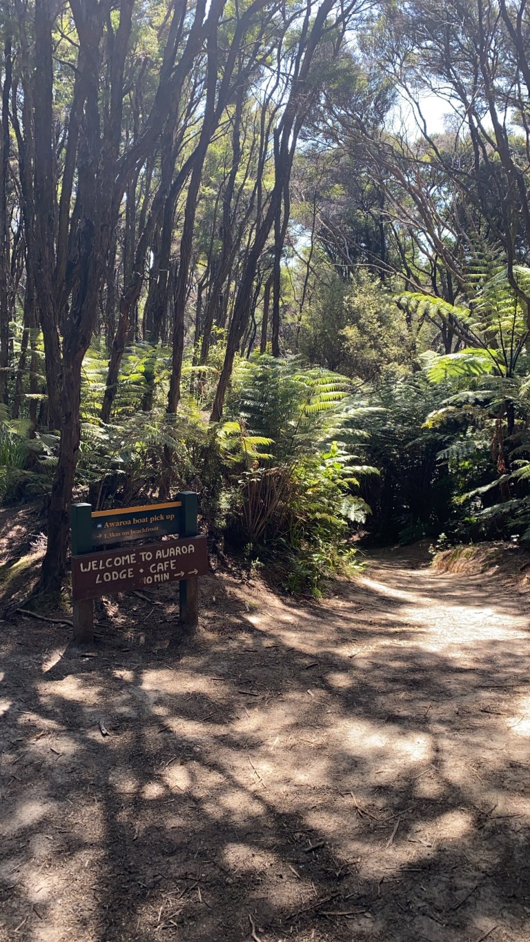 8C895DEA-C372-4F37-B57B-6607861FDF56