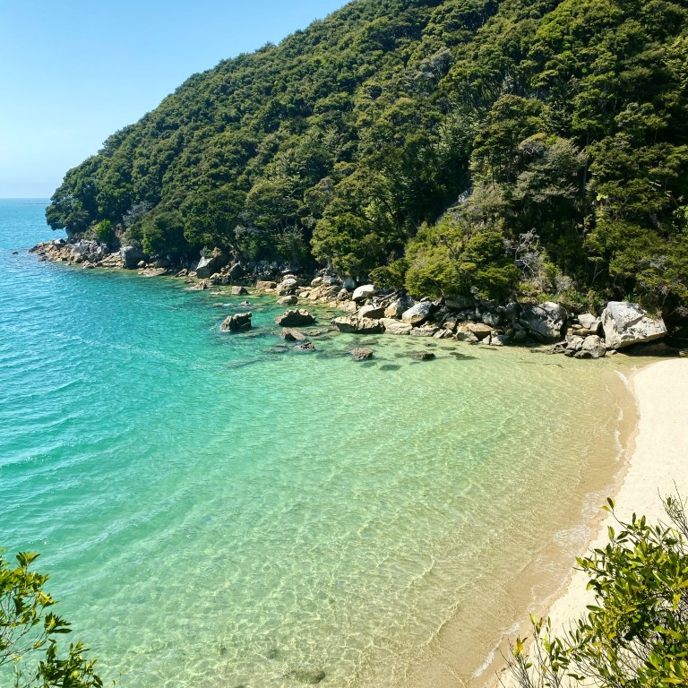 F1CD23FF-5038-4021-B674-875199D62248